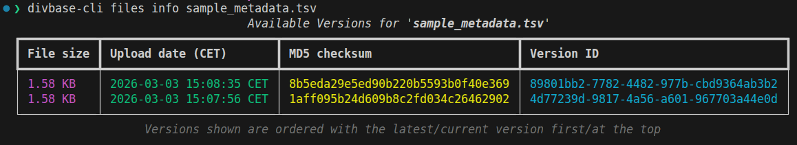 File info command output